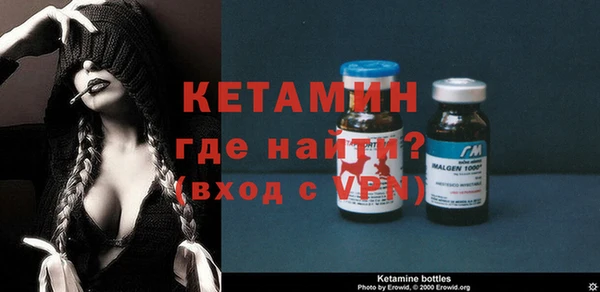 шишки Гусь-Хрустальный