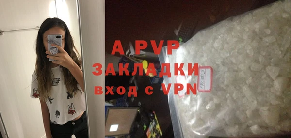 шишки Гусь-Хрустальный