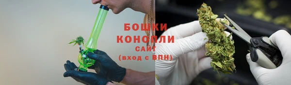 шишки Гусь-Хрустальный