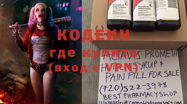 шишки Гусь-Хрустальный