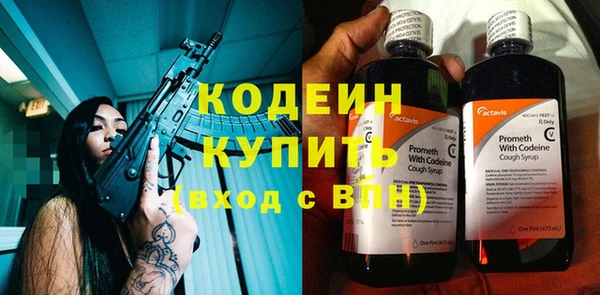 шишки Гусь-Хрустальный