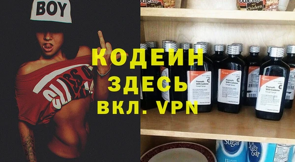 шишки Гусь-Хрустальный