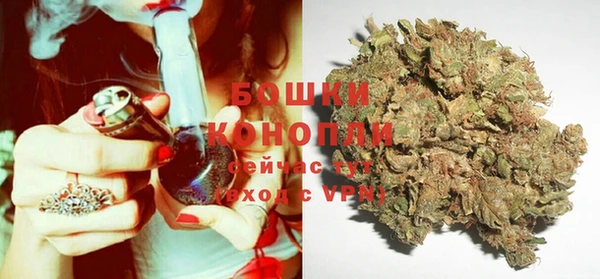 шишки Гусь-Хрустальный