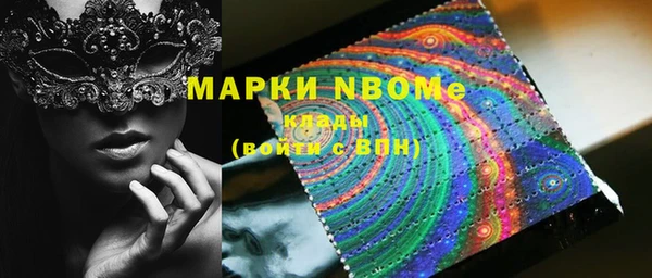 шишки Гусь-Хрустальный