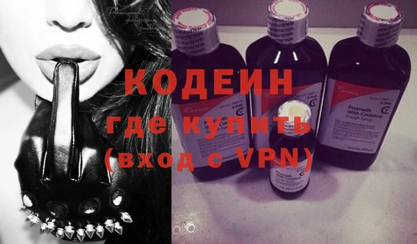 шишки Гусь-Хрустальный