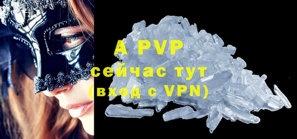 шишки Гусь-Хрустальный